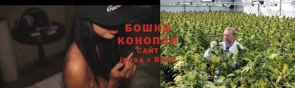 индика Одинцово