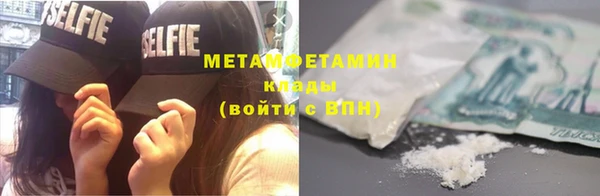 прущие грибы Балабаново