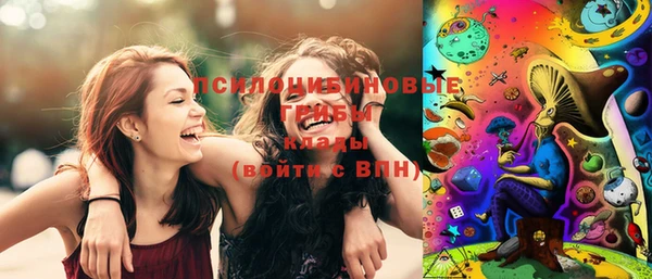 экстази Богородицк