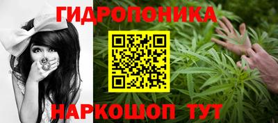 индика Мариинск
